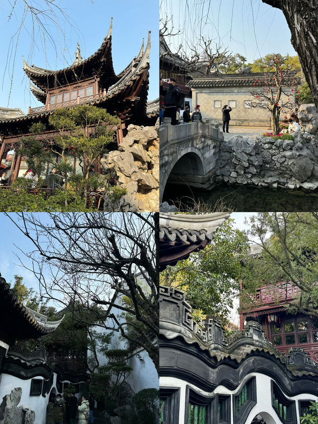 🇨🇳 The land of Wonder