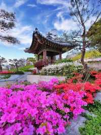Beautiful park with panoramic views of Seoul