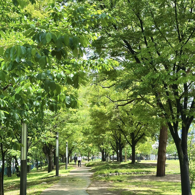 令散步旅人狂喜的都市綠洲 💕 大阪北濱中之島