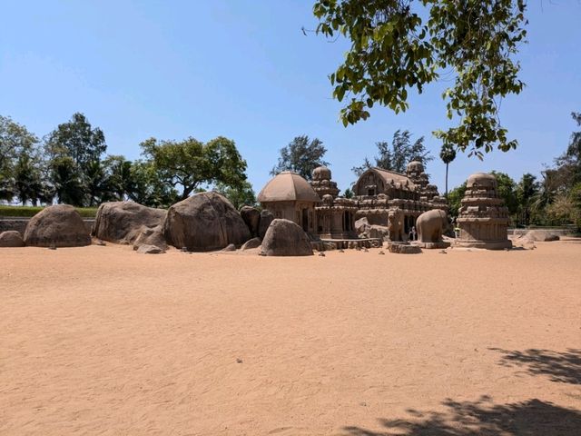 南インド・ドラヴィダ文化に浸る旅