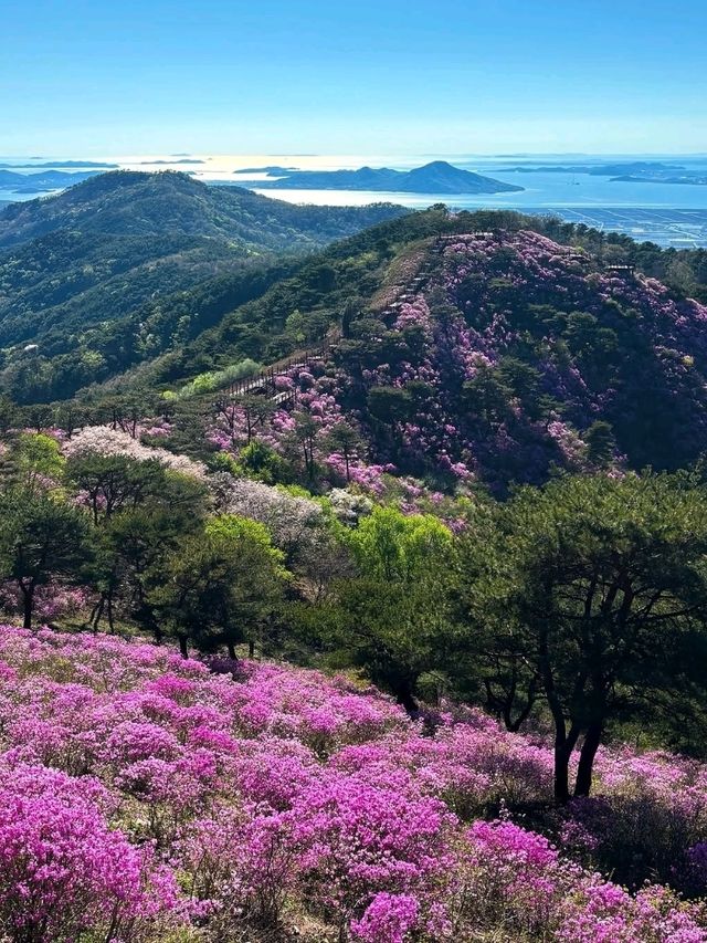 Goryeo Mountain Got Me Sweaty, Winded, and Totally in Love