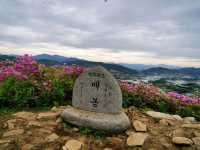 Bonghwasan Rhododendron Complex 