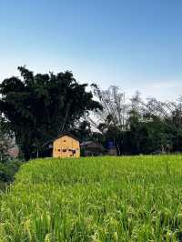 Surkhet the gateway of Jumla and rara 