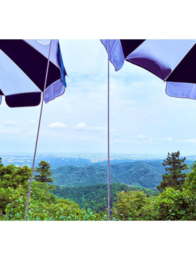 【都心から1時間でいく】癒しの半日高尾山⛰️レポ