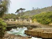 Where Earth carves its own art — Tessellated Pavement, Tasmania