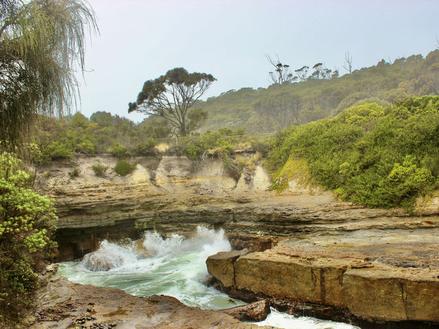 Where Earth carves its own art — Tessellated Pavement, Tasmania