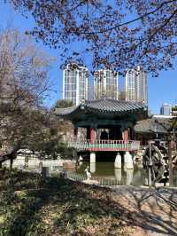 Daegu – เมืองเงียบ ๆ แต่เท่ มีอะไรให้ค้นหาเพียบ!