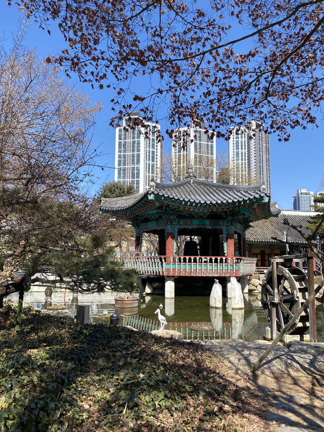 Daegu – เมืองเงียบ ๆ แต่เท่ มีอะไรให้ค้นหาเพียบ!