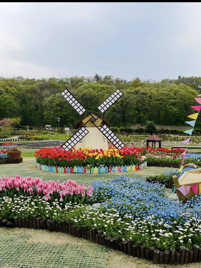 新潟県長岡市に広がる「国営越後丘陵公園」は、四季折々の花々と豊かな自然に包まれた癒しの空間。 