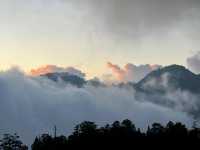 🌲☀️ Alishan National Forest Recreation Area: A Summer Escape into Taiwan’s Misty Mountains