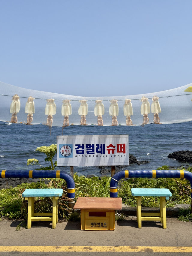 아름다운 섬속의 섬, 우도