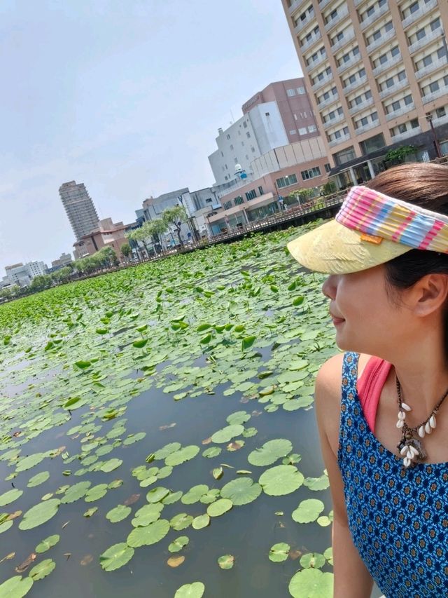 秋田免費景點～千秋公園