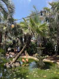 Kids friendly cafe and activity in Jeju