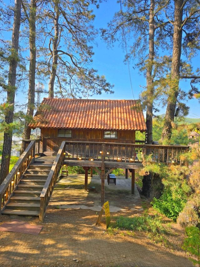 힐링가득 정원속 트리하우스가 있는 곳🏡