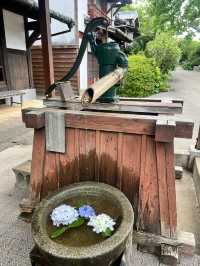 サクッと楽しめる能古島