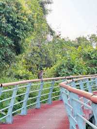 Urban Escape: The Calm of Taman Tasik Cyberjaya