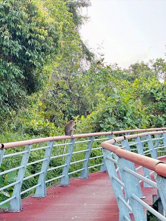 Urban Escape: The Calm of Taman Tasik Cyberjaya