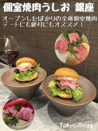 【東京🗼】銀座で特別な夜を！個室焼肉新店舗🥩
