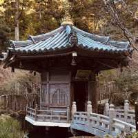 ⛰️ Mount Misen Summer Survival Guide
