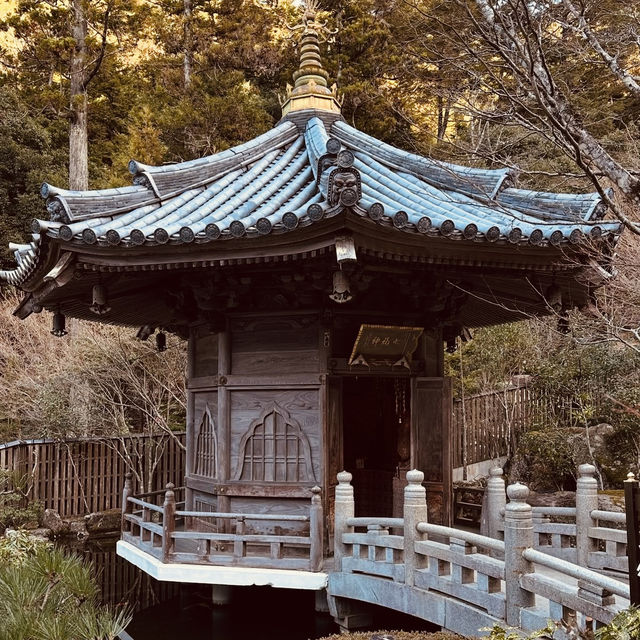 ⛰️ Mount Misen Summer Survival Guide