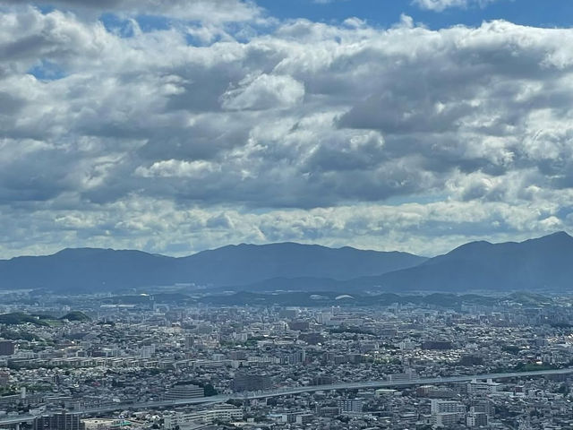 【海と空のパノラマ✨】玄界灘展望台で心を洗う絶景旅