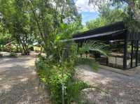 อิ๊กซ์ฟอร์เรสเต้ (ix foreste’) ร้านในป่า ริมถนนใหญ