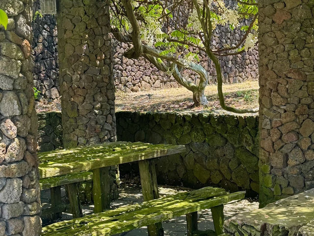 Jeju Island's Hidden Gem: Sosokkak — A Place of Thought and Healing! 🌳🧘‍♀️