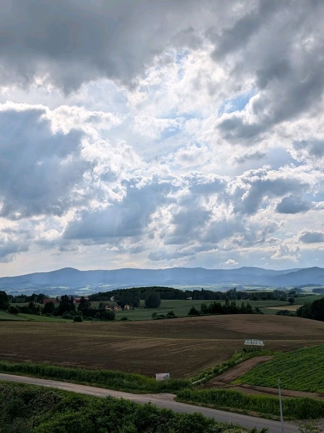 9 Days in Sapporo; Otaru; Lake Toya; Furano; Biei and Back to Sapporo