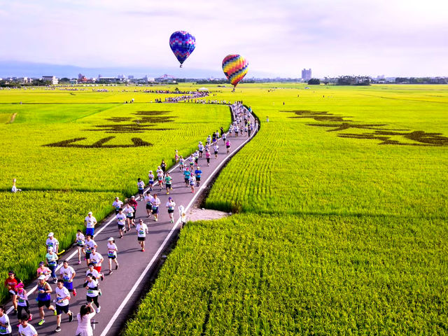 宜蘭最療癒田中央，這條小路太會拍了！