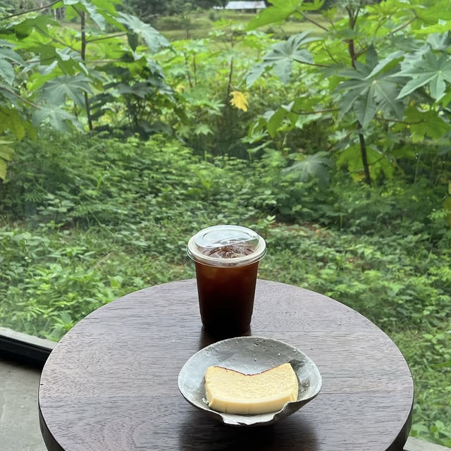TASANA changmai