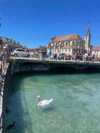 フランスで美しい湖畔の町【アヌシー】🇫🇷