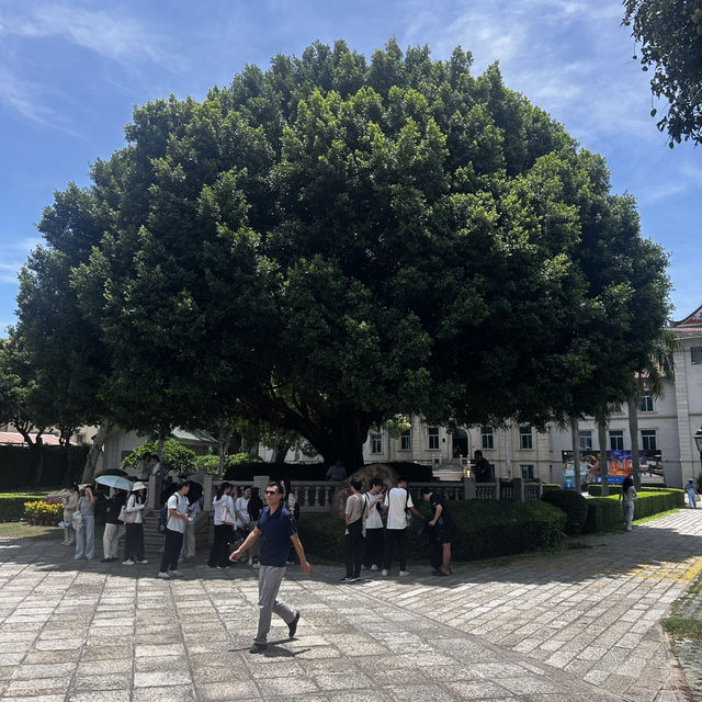 🌏 Xiamen’s Overseas Chinese Museum: Where Diaspora Stories Come Home!