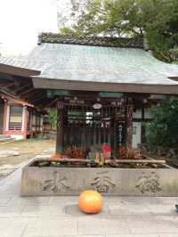 Kamigyo Ward: Where History Breaths Through Imperial Walls