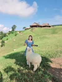 Akha FarmVille ดอยช้าง เชียงราย