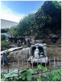 【東京/池袋】池袋ど真ん中！都会で楽しめサンシャイン水族館