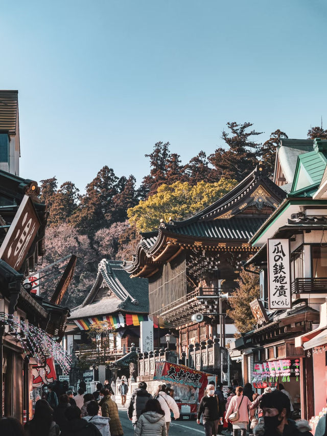 🇯🇵 Tokyo Hidden Gem: Naritasan Omotesando – Edo-Style Street Near the Airport