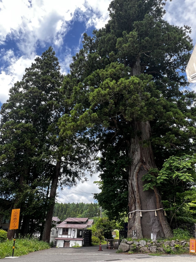 「自然に癒されたい。だけど、ただの観光地じゃ物足りない——そんな時、長野は“答え”になる。」