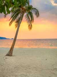 Sun, Sand and a Surprise at Patong Beach, Phuket