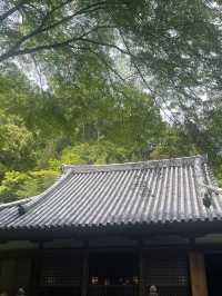  A Peaceful Hidden Hike in Kyoto – Arashiyama to Takao Nature Trail 