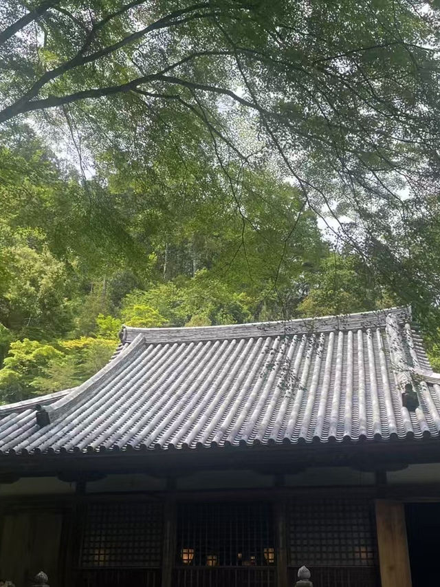  A Peaceful Hidden Hike in Kyoto – Arashiyama to Takao Nature Trail 