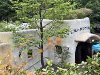 Stepping into Miyazaki's World at the Ghibli Museum, Mitaka! 🌳✨