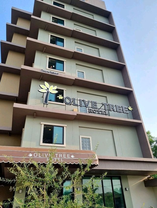 รีวิวOlive Tree Hotel นาจอมเทียน
