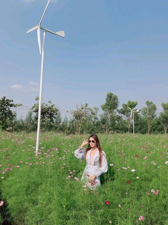 สวนดอกไม้ บ้านไร่นายรุ่ง กาญจนบุรี