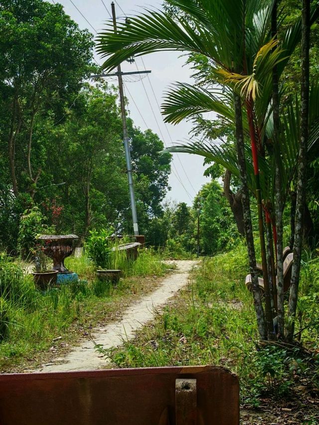 ⛰️ Bukit Kledang, Perak – Choose Your Trail, Choose Your Challenge!