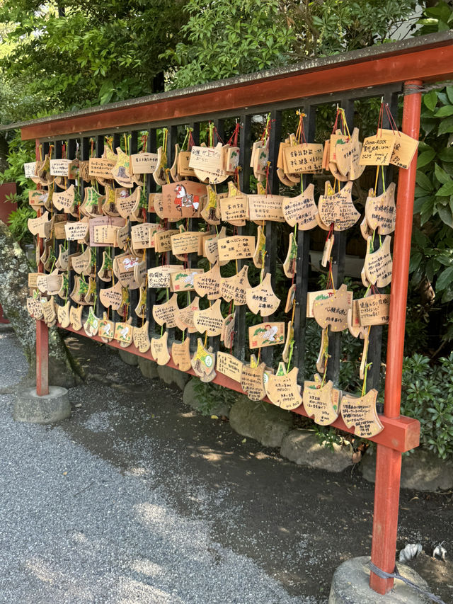 🏯⛩️ Kamakura Day Trip: Temples, Streets & Sea Breeze 🌸