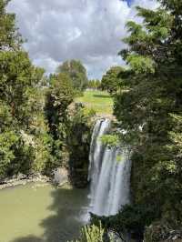 紐西蘭旅遊景點—💦 Whangārei Falls｜北島最優雅的瀑布散步路線