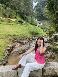 WFT Cafe Camp CNX