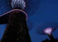 Gardens by the Bay.