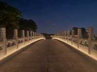 Nightscapes at Japanese Gardens