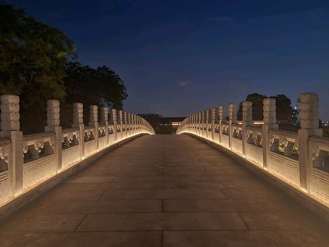 Nightscapes at Japanese Gardens
